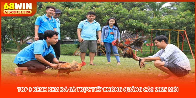 Top 3 Kênh Xem Đá Gà Trực Tiếp Không Quảng Cáo 2025 Mới